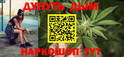 гидра Будённовск