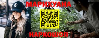 гидра Будённовск