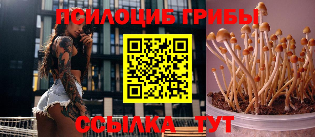 где продают   Галлюциногенные грибы MAGIC MUSHROOMS  Вход с VPN  Южно-Сахалинск 